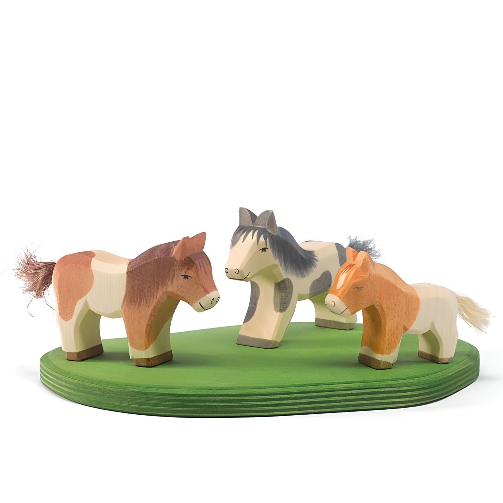 Shetland Pony standing 11303