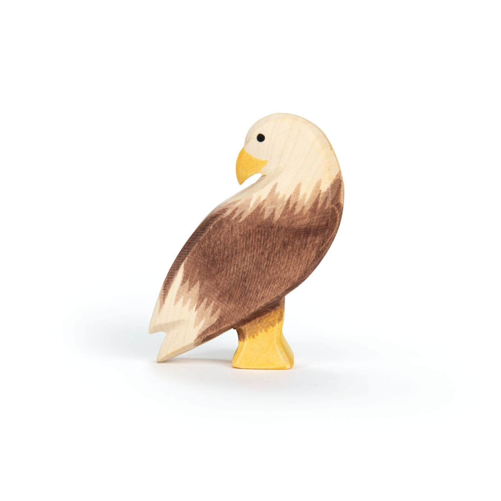 Ostheimer Seeadler stehend 17202